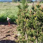 Feriehus Slowinski Raj - Okno Na Nature *