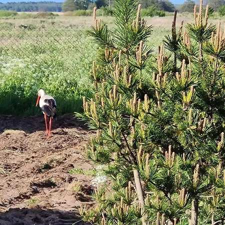 Vakantiehuis Slowinski Raj - Okno Na Nature *