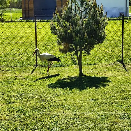 Prázdninový dům Slowinski Raj - Okno Na Nature *