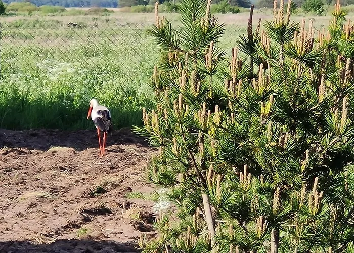 Vakantiehuis Slowinski Raj - Okno Na Nature *