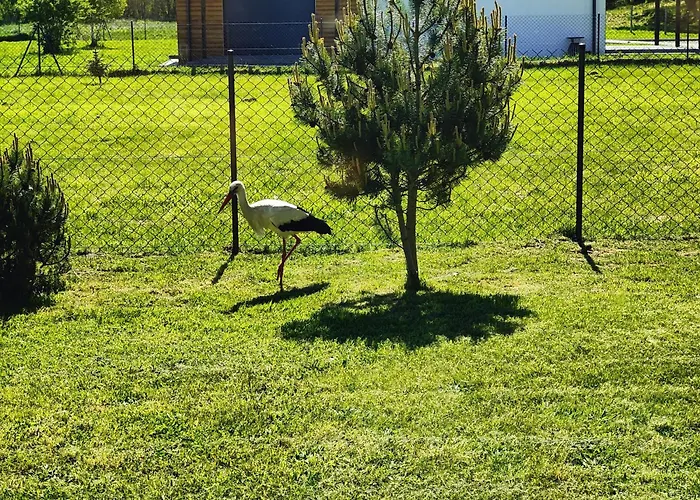 Vakantiehuis Slowinski Raj - Okno Na Nature *